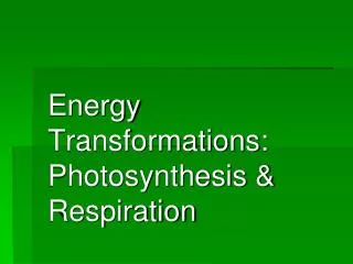 Energy Transformations: Photosynthesis &amp; Respiration