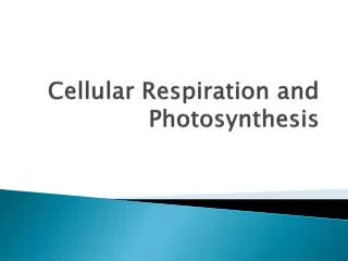 Cellular Respiration and Photosynthesis