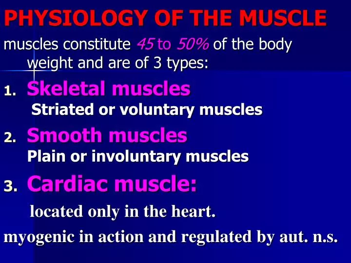 physiology of the muscle