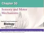 Exploring Sensory and Motor Mechanisms in Bat and Moth Interactions - slide 1