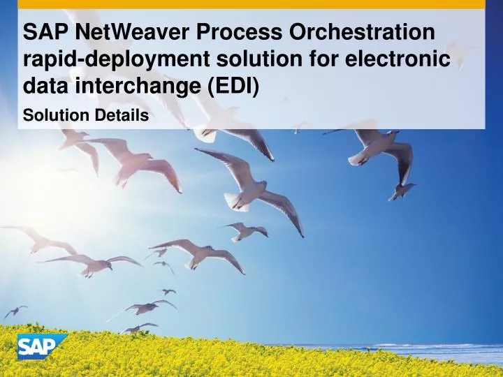 sap netweaver process orchestration rapid deployment solution for electronic data interchange edi