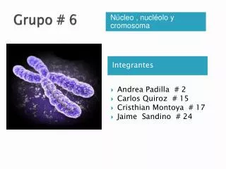 grupo 6