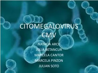 citomegalovirus cmv