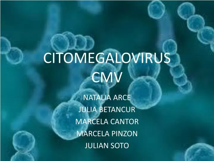 citomegalovirus cmv