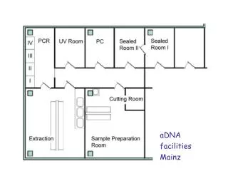 aDNA facilities Mainz