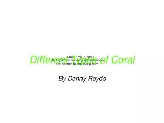 Different Types of Coral
