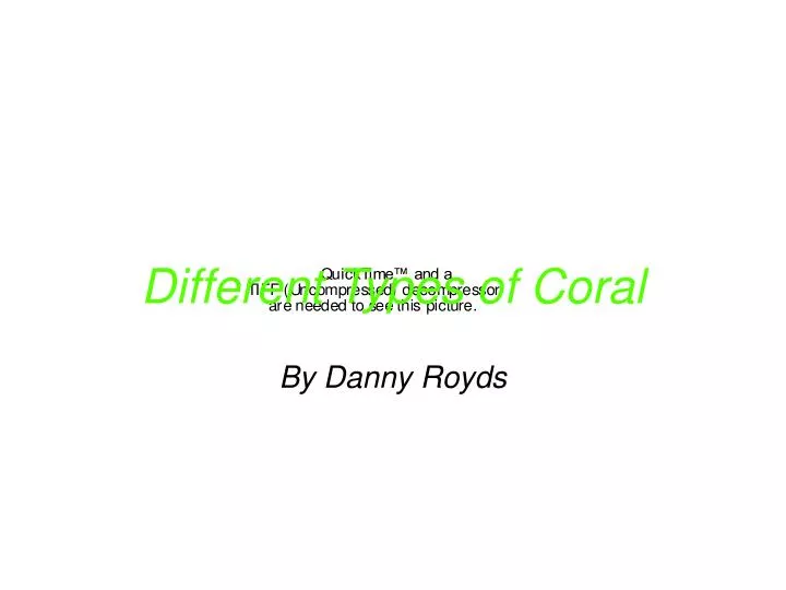 different types of coral