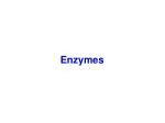 Enzymes - slide 1