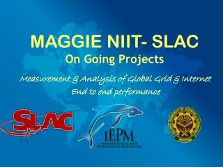 MAGGIE NIIT- SLAC On Going Projects