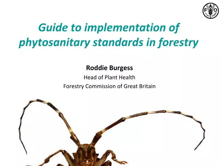guide to implementation of phytosanitary standards in forestry