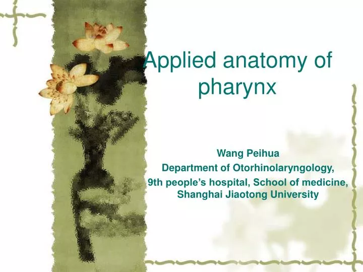 applied anatomy of pharynx