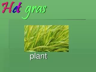 h e t gras