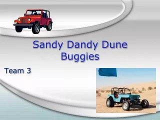 Sandy Dandy Dune Buggies