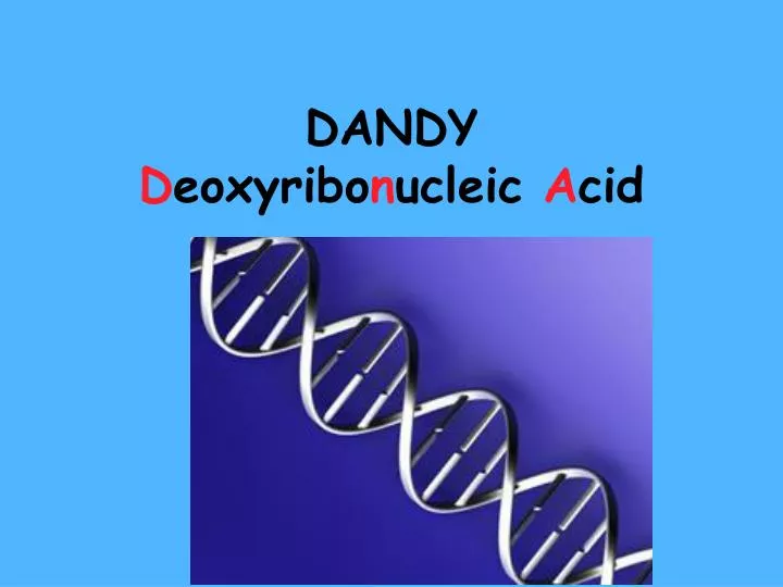 dandy d eoxyribo n ucleic a cid
