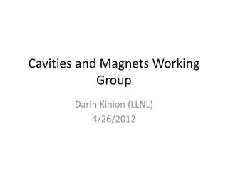 cavities and magnets working group