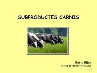 subproductes carnis