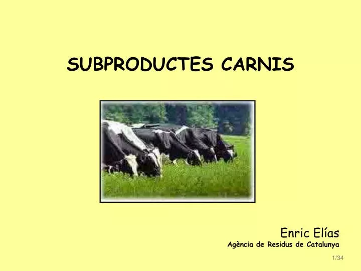 subproductes carnis