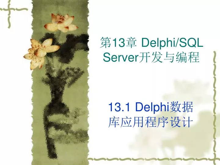 13 delphi sql server