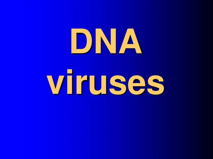 dna viruses