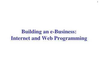 Building an e-Business: Internet and Web Programming