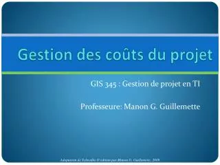 gestion des co ts du projet