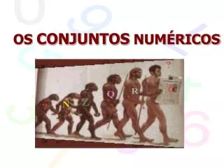 os conjuntos num ricos