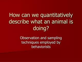 How can we quantitatively describe what an animal is doing?
