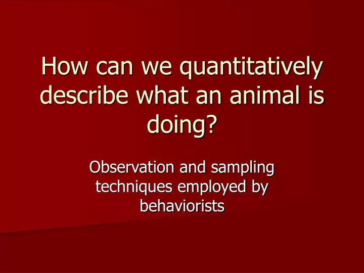 how can we quantitatively describe what an animal is doing