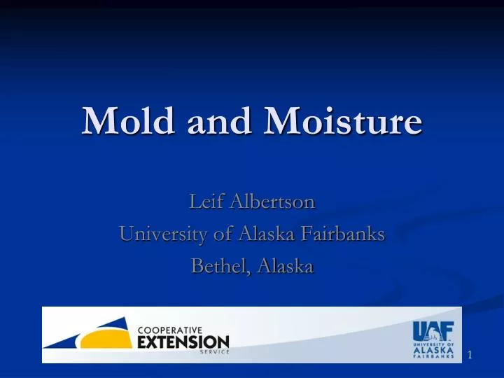 mold and moisture
