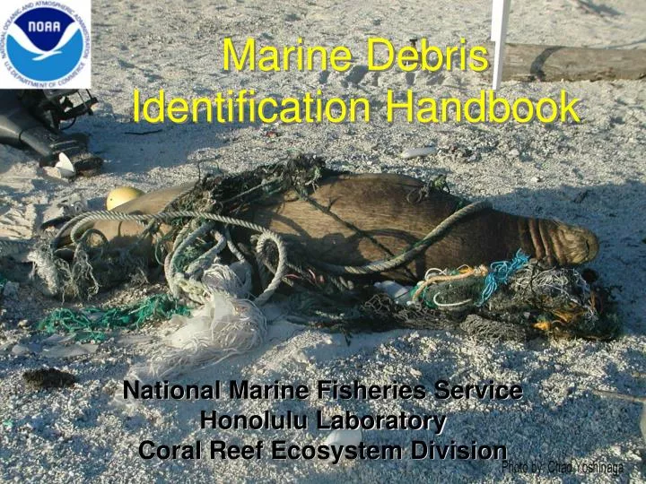 marine debris identification handbook