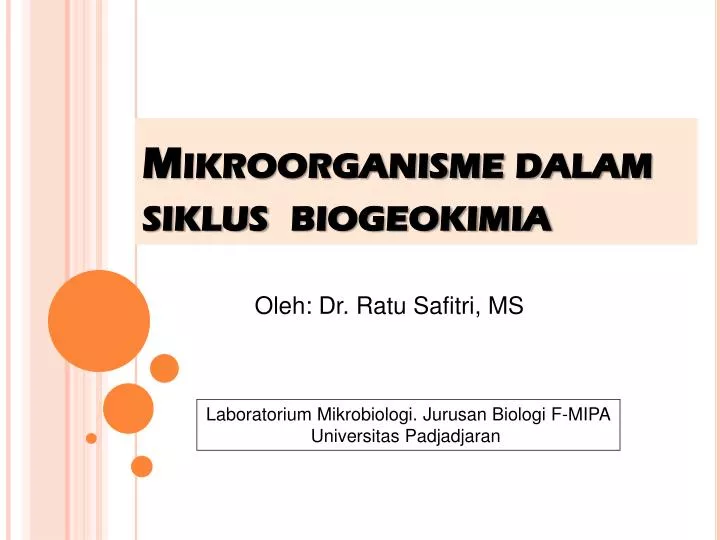mikroorganisme dalam siklus biogeokimia