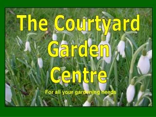 The Courtyard Garden Centre