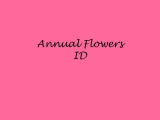 Annual Flowers ID