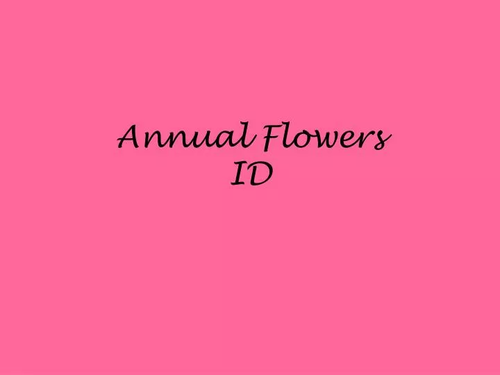 annual flowers id