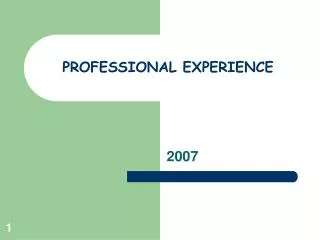 PROFESSIONAL EXPERIENCE