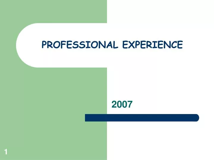 professional experience