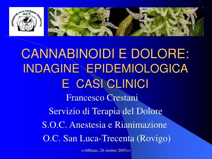 cannabinoidi e dolore indagine epidemiologica e casi clinici