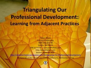 Triangulating Our Professional Development: Learning from Adjacent Practices