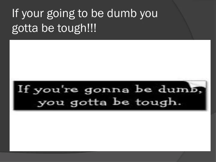 if your going to be dumb you gotta be tough