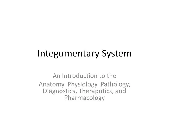 integumentary system