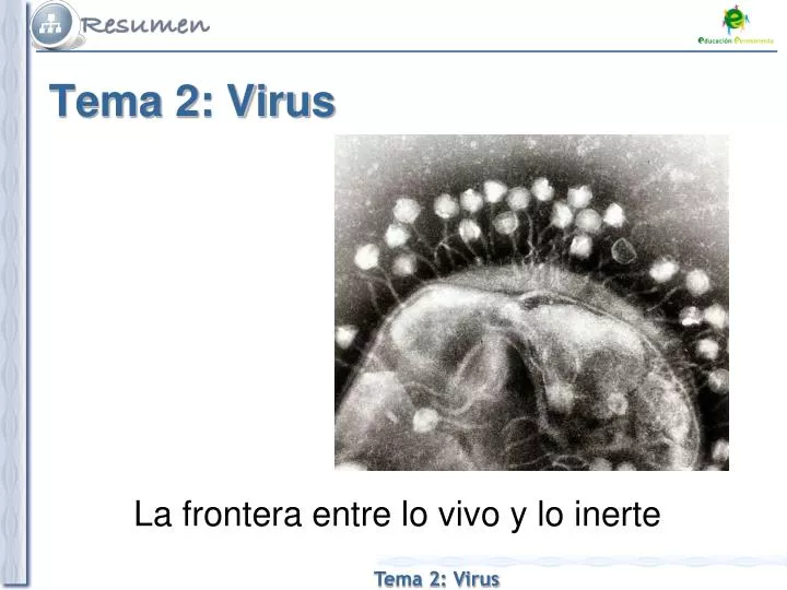 tema 2 virus
