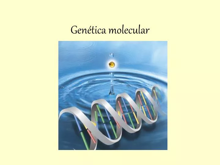 gen tica molecular