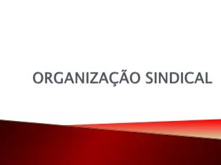 organiza o sindical