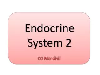 Endocrine System 2