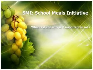SMI: School Meals Initiative