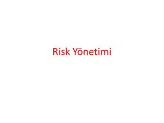 risk y netimi