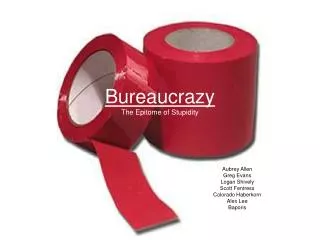 Bureaucrazy The Epitome of Stupidity