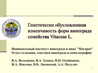 vitaceae l