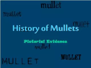 History of Mullets