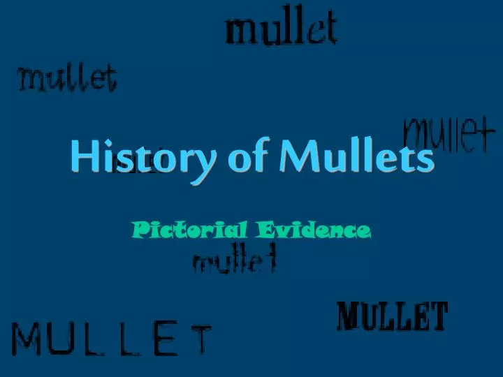 history of mullets